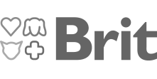Logotyp Brit
